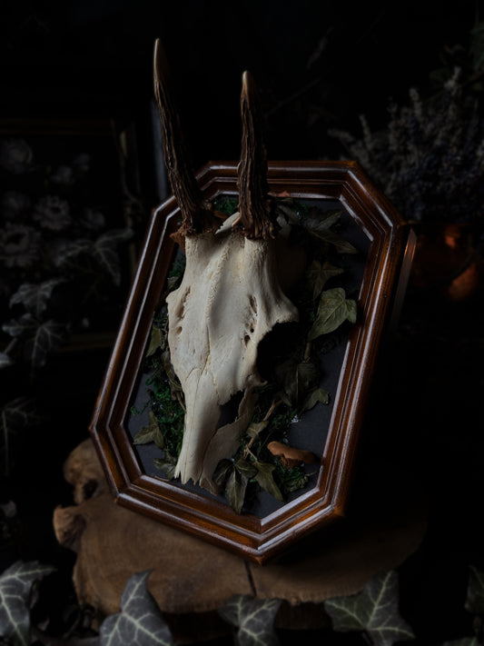 Gods of the Forest III (Vintage Frame, 20x15 cm)