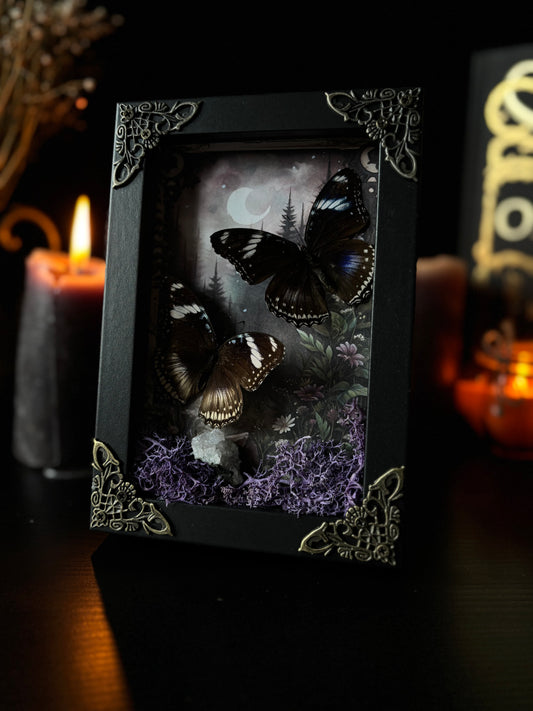 Hypolimnas Bolina  | Moonlit Forest Frame (15x10cm)
