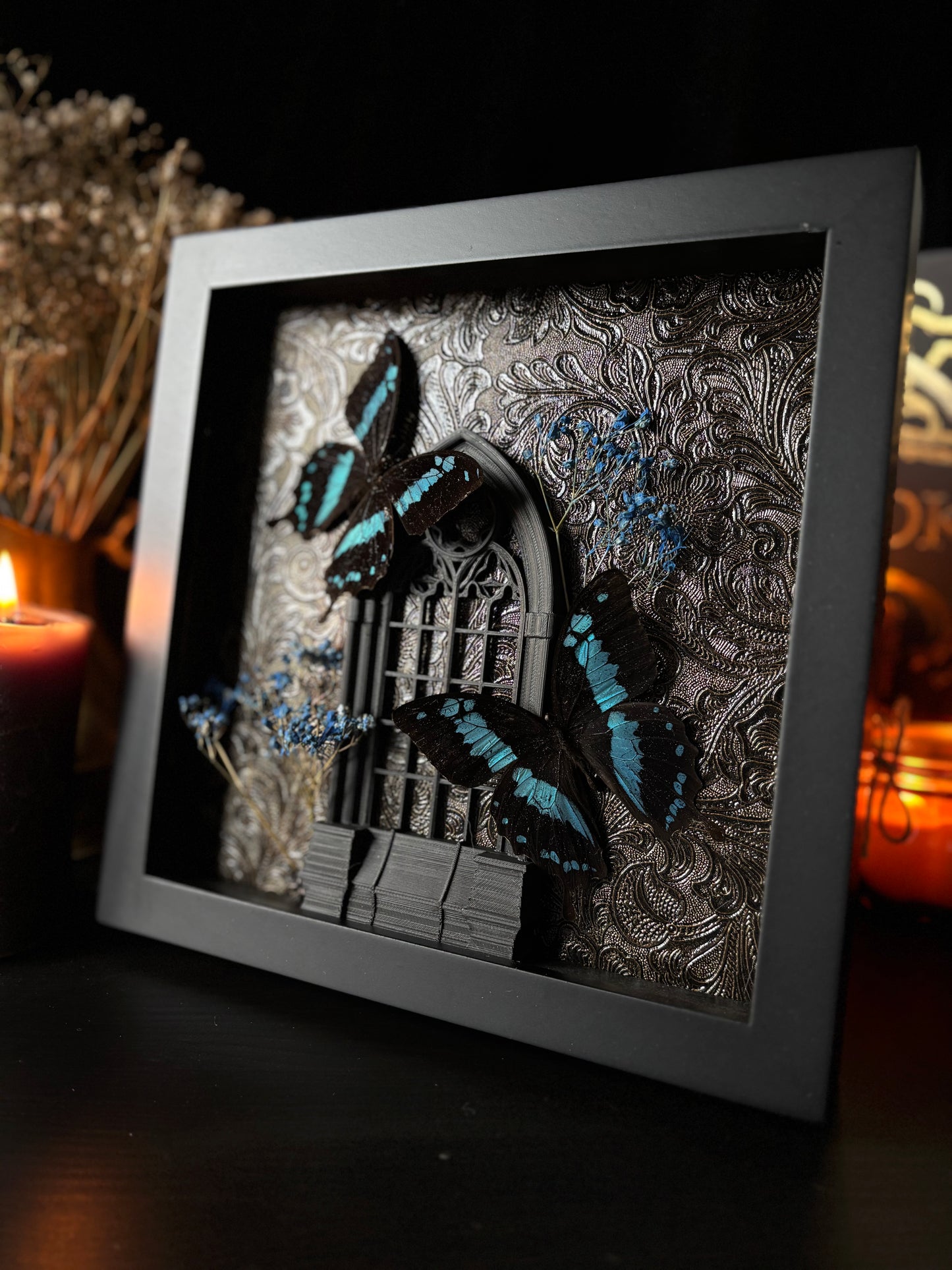 Papilio Epiphorbas Butterfly Cathedral | Gothic Frame with Blue Baby’s Breath (20x20cm)