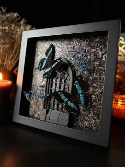 Papilio Epiphorbas Butterfly Cathedral | Gothic Frame with Blue Baby’s Breath (20x20cm)