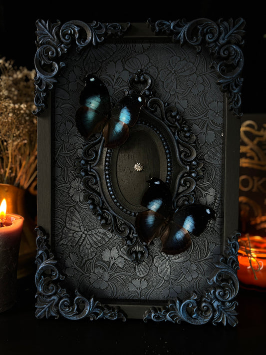 Celestial Butterfly Shadow Box | Gothic Frame with Napeocles Jucunda (30x20cm)