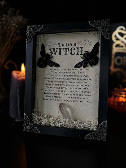 Witch’s Creed Bee Frame | Xylocopa latipes with Crystal & Moss (18x13cm)
