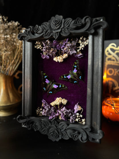 Graphium Weiskei | Whimsical Velvet Floral Frame