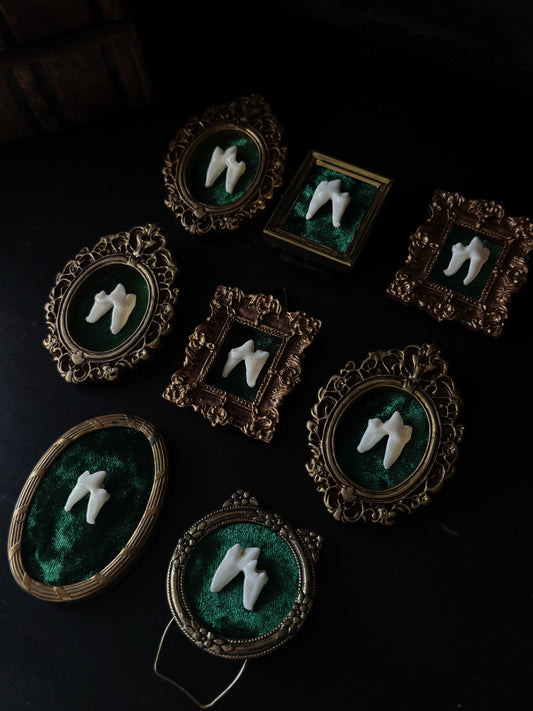 Fox Tooth Mini Frame – Vintage Style Wall Art