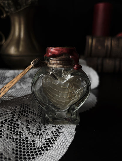 Jar of hearts: Snake skin