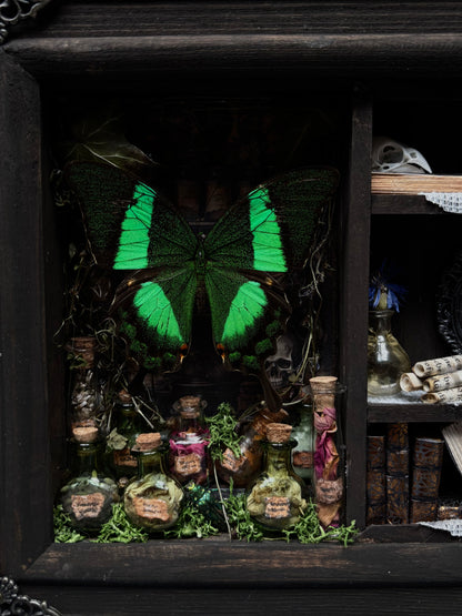 Miniature Witch’s Apothecary Shadow Box | Butterfly Curio Cabinet (23x18cm)