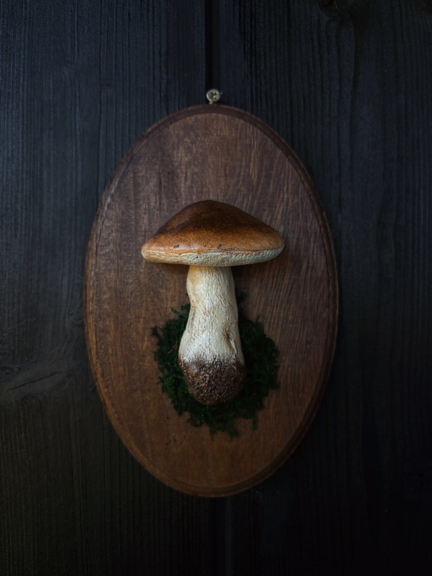 Porcini Mushroom - Polymer Clay Mushroom (21,5x14cm)