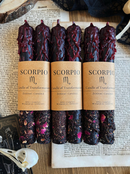 Scorpio | October 23 – November 21 | Zodiac Candle