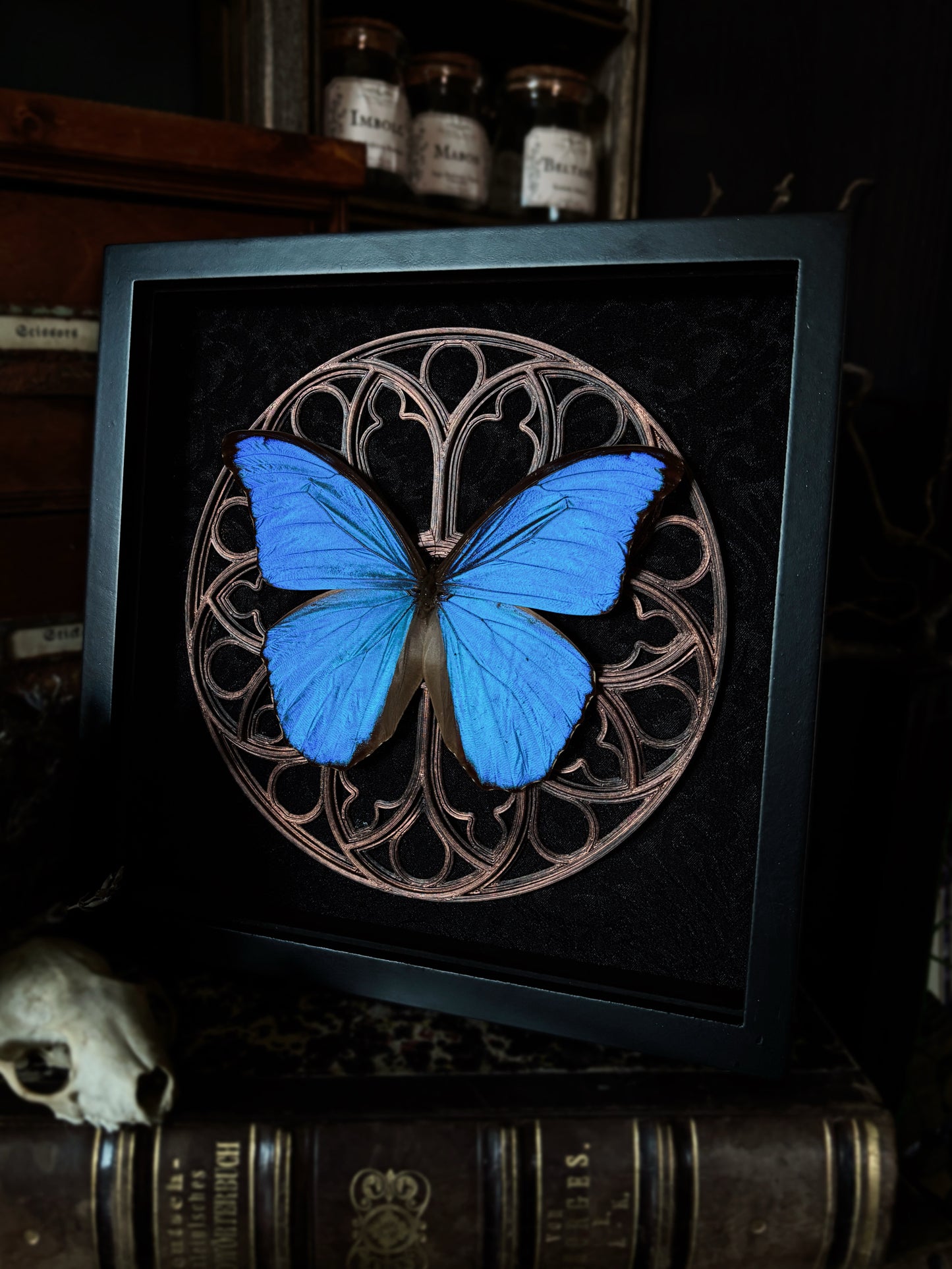 Gothic Rose Window | Morpho (20x20cm)