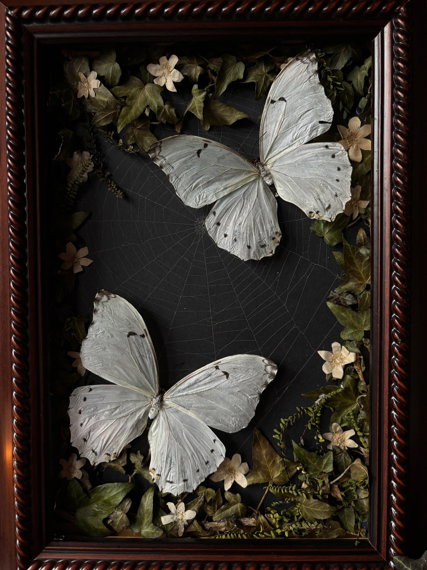 Forest remains | White Morphos Vintage Wood Frame (50x35cm)