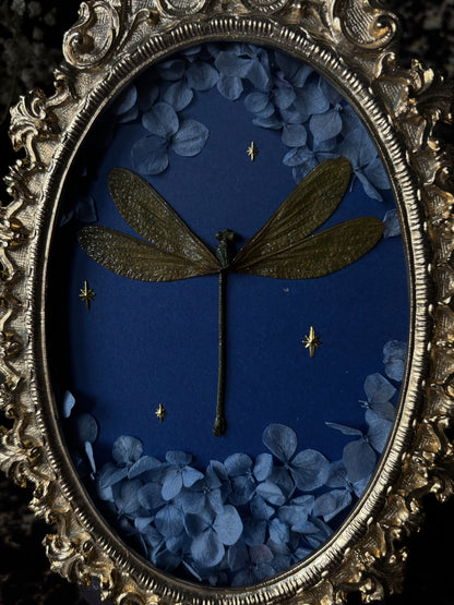 Dragonfly (Vintage brass frame)
