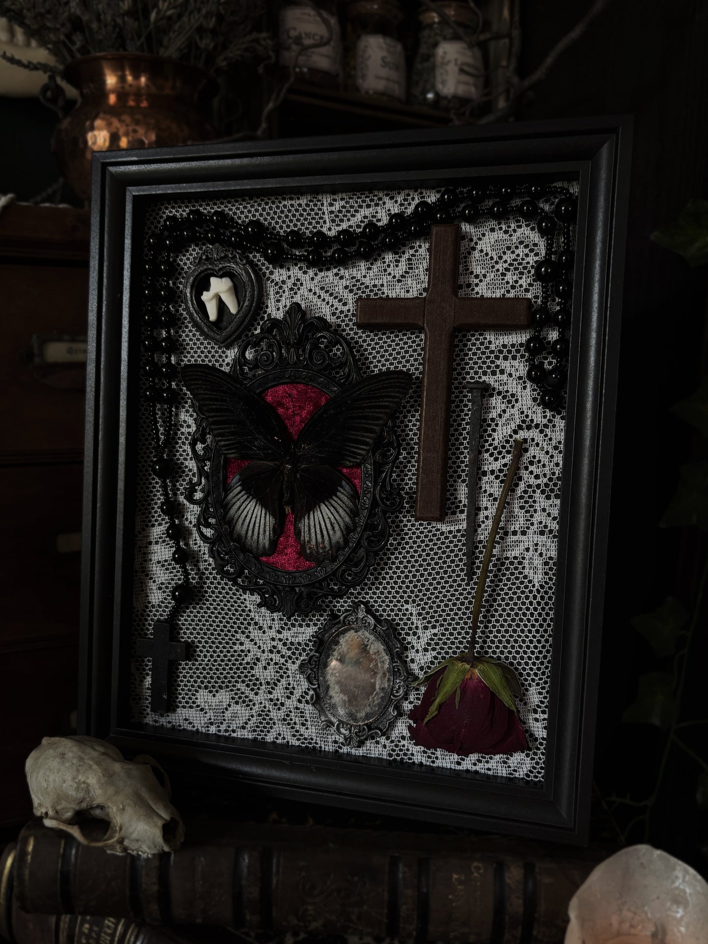 LACE RELICS – Papilio rumanzovia & Fox Tooth Gothic Frame (25x20cm)