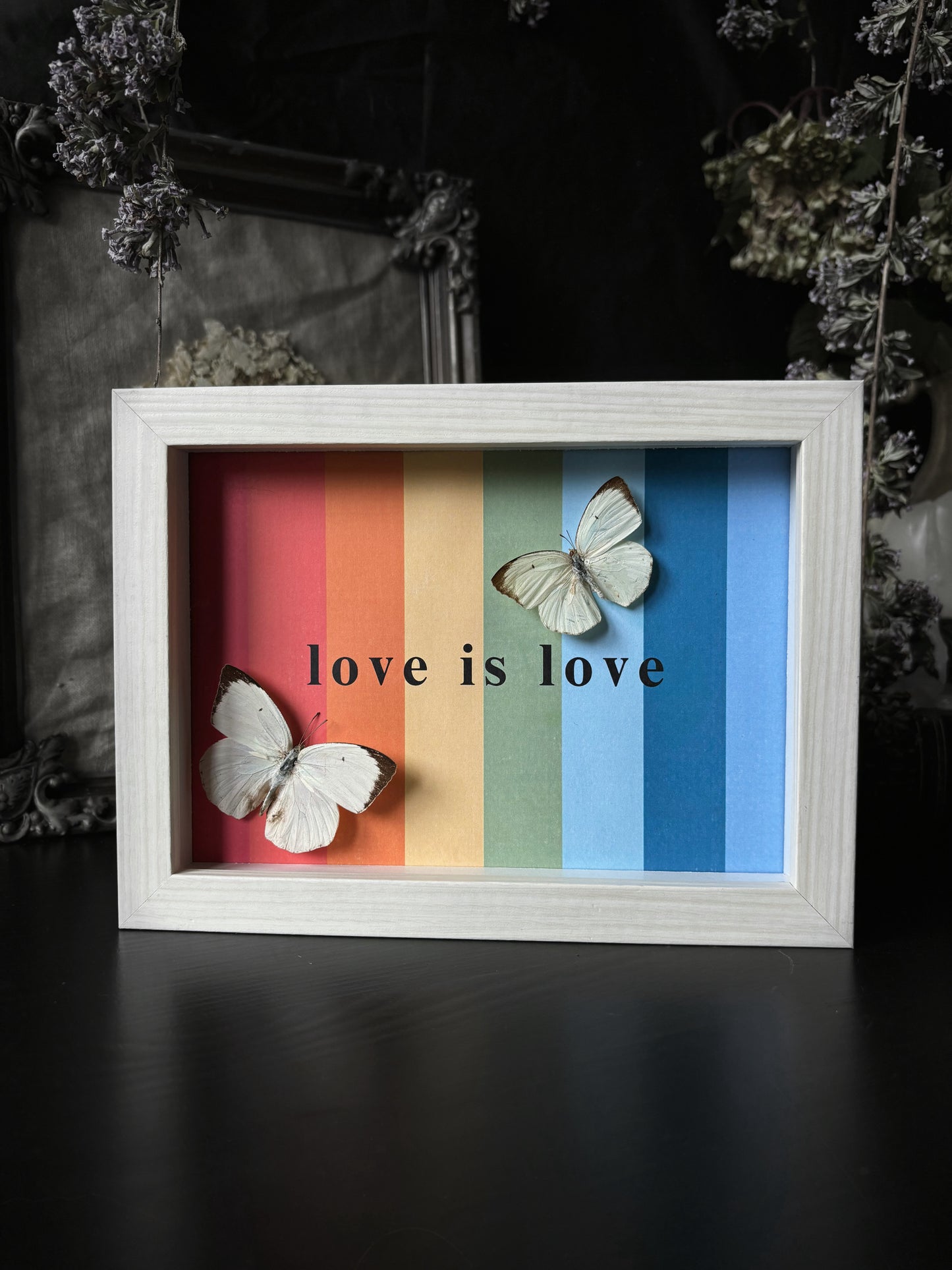 PRIDE EDITION:  "Love is love" Appias Albina