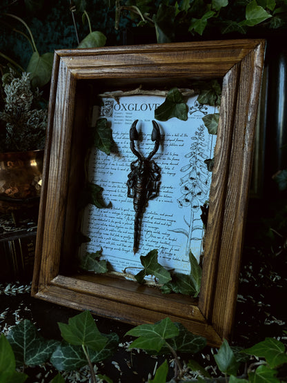 Foxglove Frame – "Heterometrus" (24x18cm)