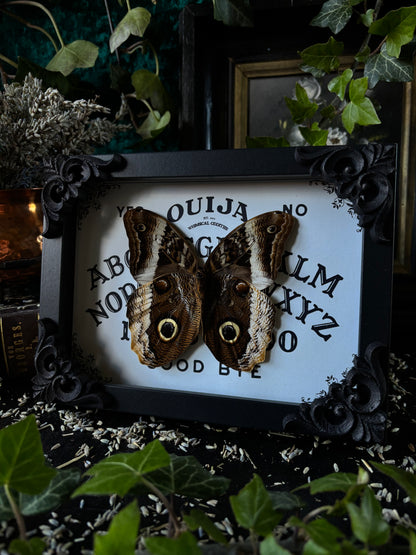 „Ouijah board" - Caligo (18x13cm)
