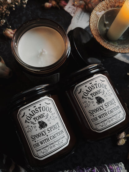 Toadstool Tonic Lavender Grass Candle