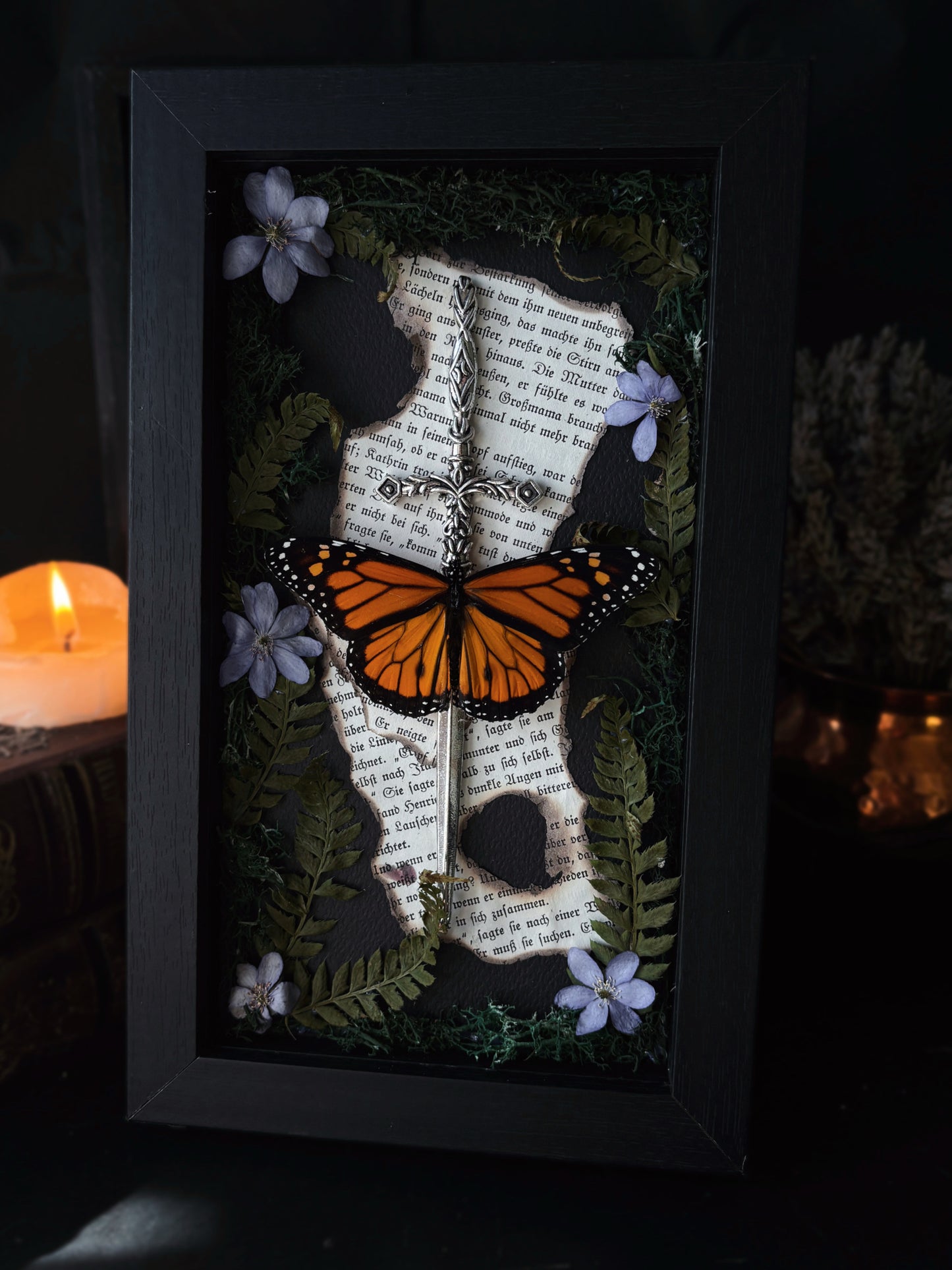Sword Frame – Danaus plexippus (22x12cm)