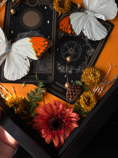 Tarot Magic – Hebomoia glaucippe – Vertical Frame (20x20cm)