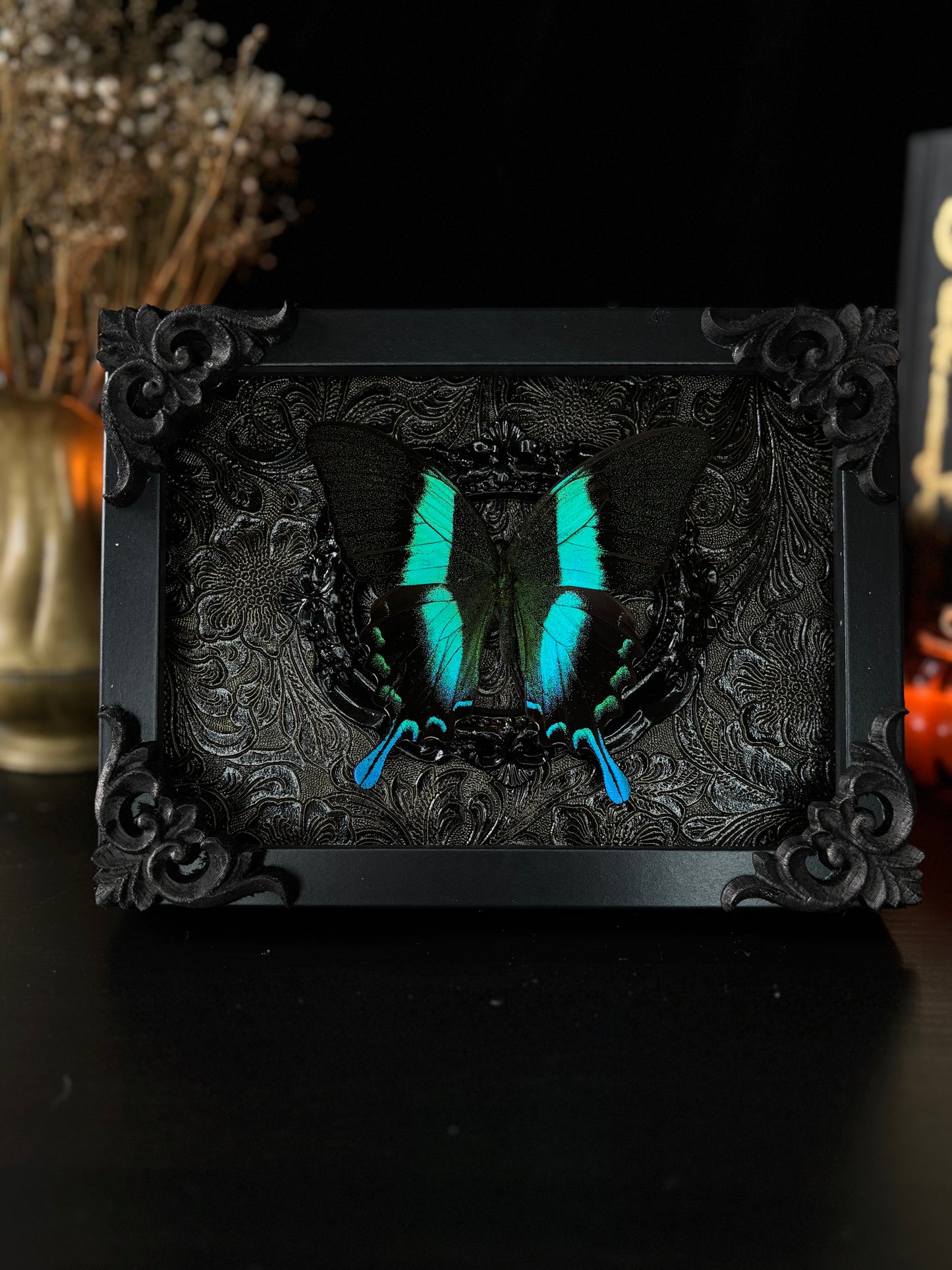 Papilio Blumei (18x13 cm)