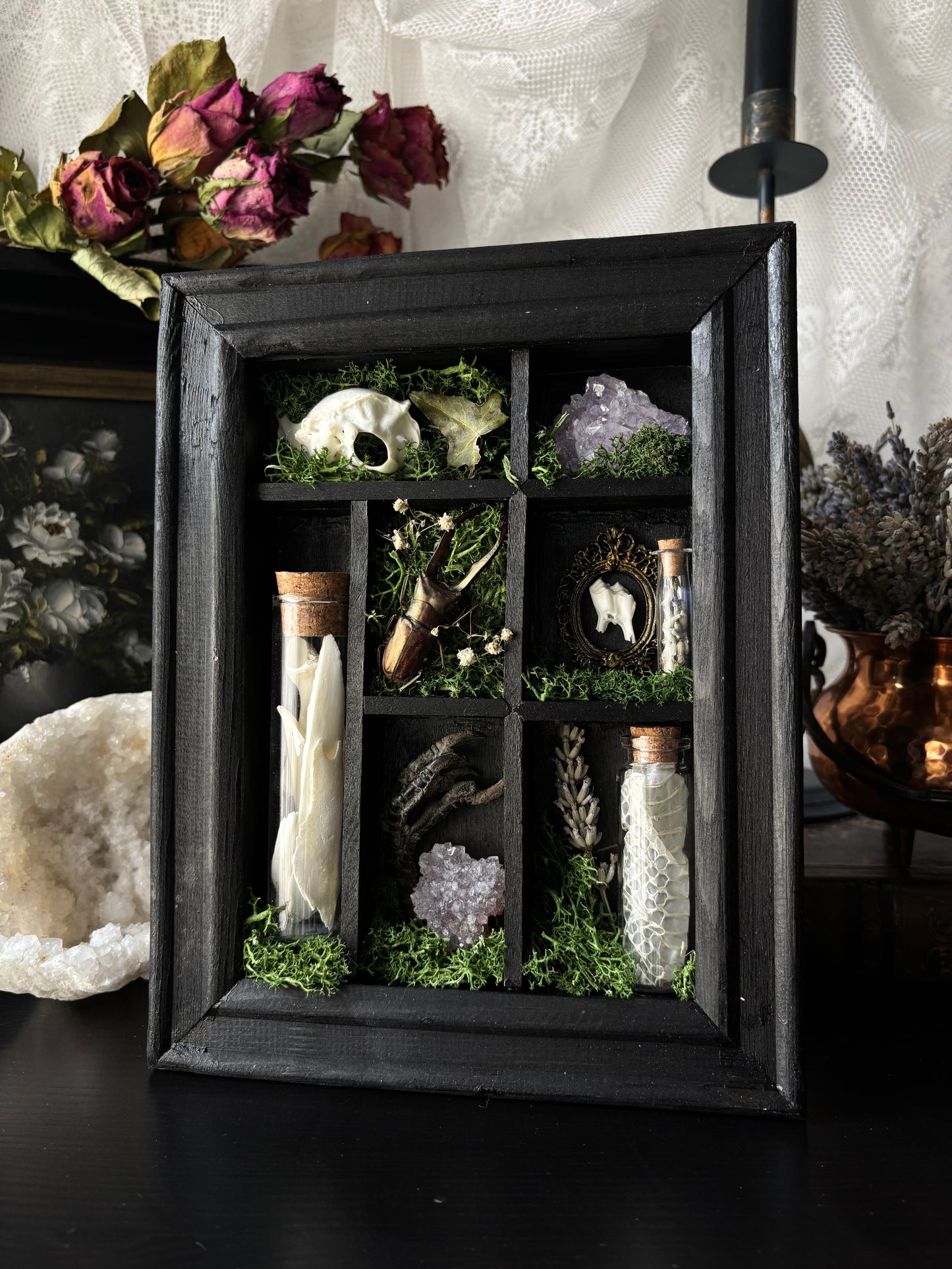 “Witch’s Curio Cabinet” – Framed Shadowbox of Natural Oddities (23x18)