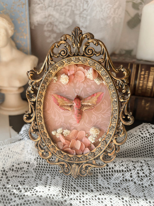 Rosé Reverie - Vintage brass frame (14x10cm)