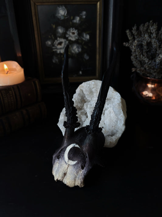 Moon Deer Skull | Handcarved & Painted Bone Art