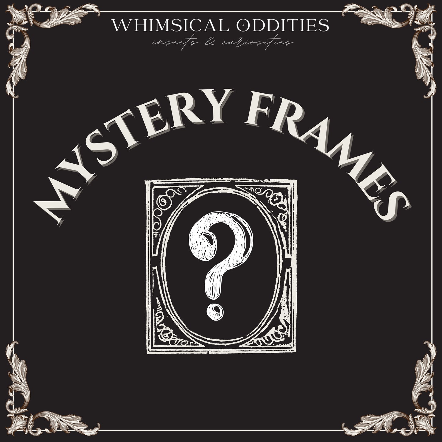 Mystery frames