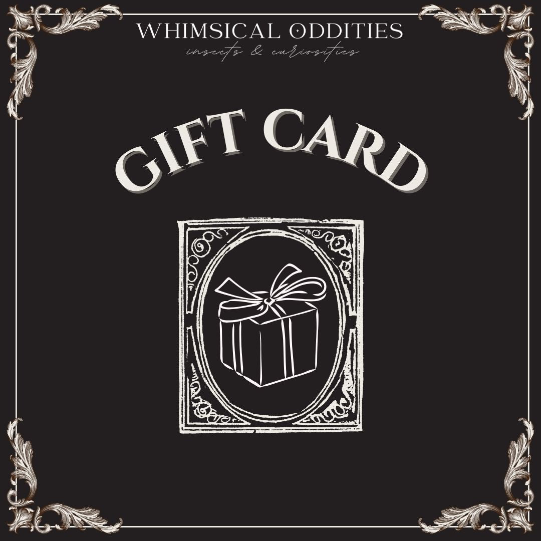 Whimsical Oddities - Gift voucher