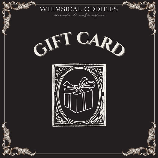 Whimsical Oddities - Gift voucher