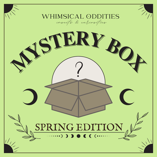 Mystery Box - Spring Edition