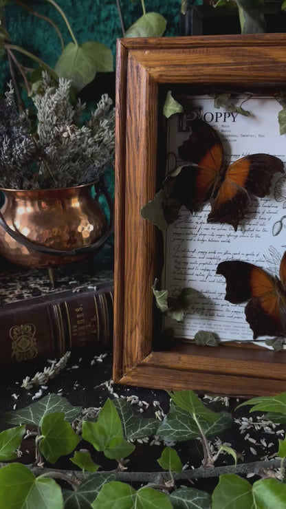 Poppy Frame – "Salamis" (24x18cm)
