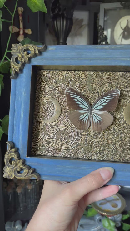 “Celestial Wings” – Framed Butterfly on Baroque Moonlit Tapestry (23x18cm)