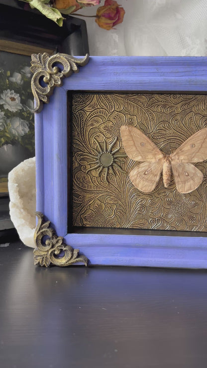 “Solar Reverie” – Framed Moth on Golden Sunlit Tapestry (23x18cm)
