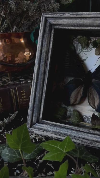 „Witches lair“ Apothecary cabinet