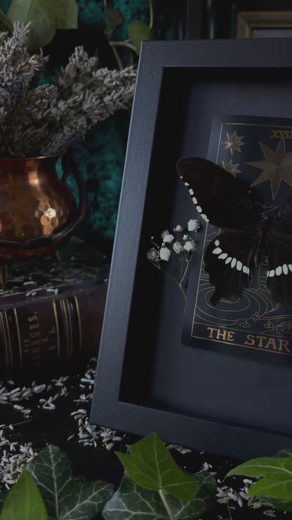 The Star Frame (18x13cm)