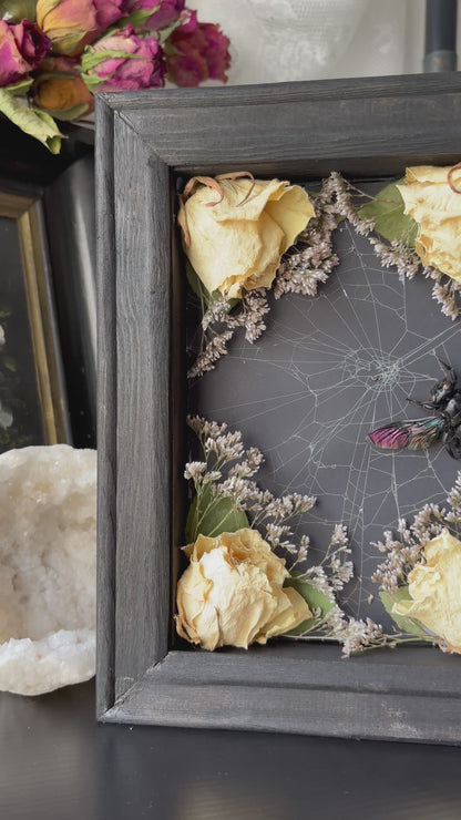 “Widow’s Garden” – Giant Carpenter Bee in Web with White Roses (23x18 cm)