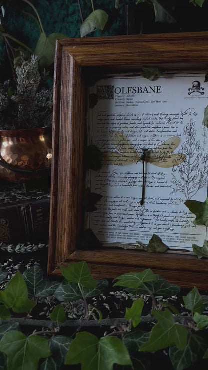 Wolfsbane Frame – "Dragonfly" (24x18cm)