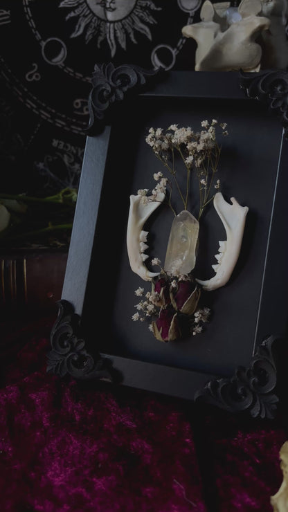 Ornament Frame - cat jaw